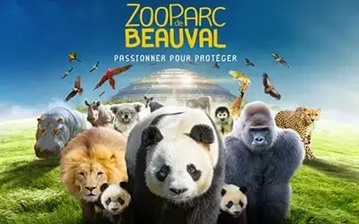 beauval zoo partenaires au gré des vents